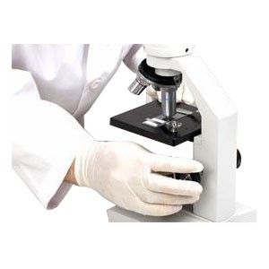 Non-Sterile Powder-Free Latex Examination Glove, X-Large