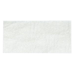 Bioguard Sterile Non-Adherent Pad 3" x 8"