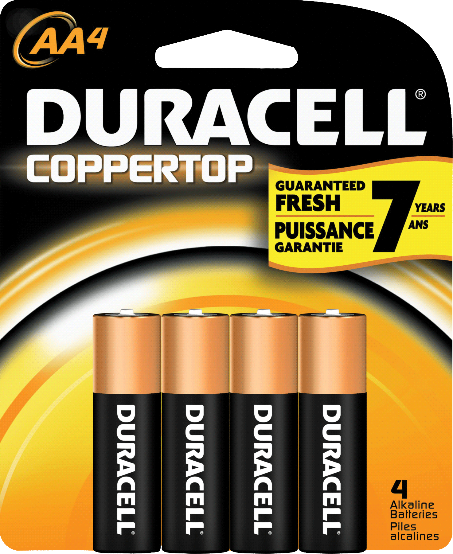 Alkaline Battery, Size AA