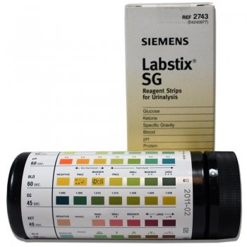 Labstix Reagent Test Strip (100 count)