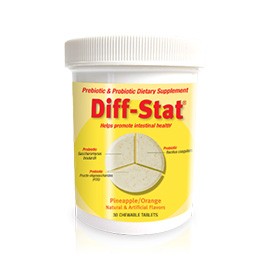 Diff-Stat Probiotic & Prebiotic Supplement 2g Packet