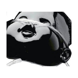 Neonate Cannula, Clear with 7' Tube