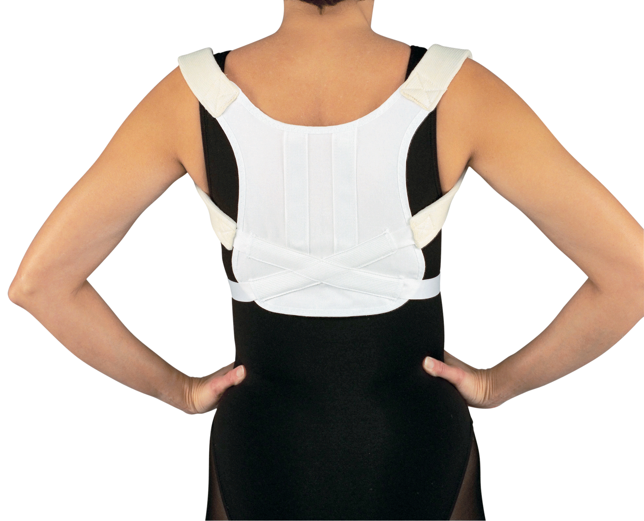 Posture And Clavicle Support, Universal