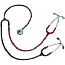 "Littmann Teaching Stethoscope 40"""