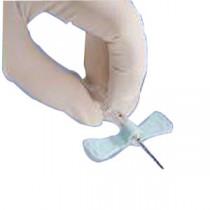 Bd Vacutainer Winged 23G X .75 Blood Collect Set