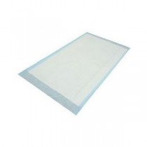 "Underpad for Incontinence, Moderate Absorbency, Disposable 30"" x 30"""