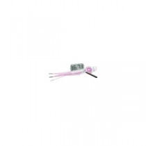 Clearblue Easy Pregnancy Test (2 Count)