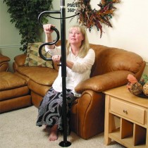 Security Pole and Curve Grab Bar, Black