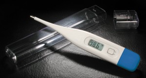 Adtemp 30-40 Second Digital Thermometer