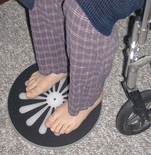 "SafetySure Pivot Disc 13"" dia., 400 lb. Weight Capacity"