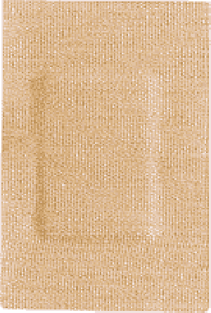 "Coverlet Patches Adhesive Bandage 1-1/2"" x 3"""
