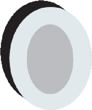 Shapes#5 Silver Oval PolyMeric Membrane Dressing