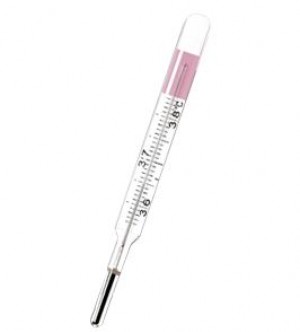 Geratherm Basal Mercury-Free Thermometer