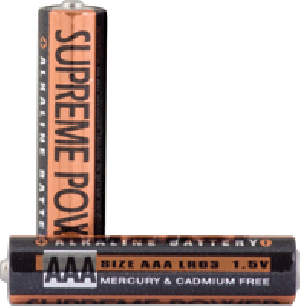 AAA Alkaline Battery (2 count)