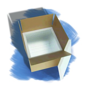 "BrrBox Cooler, 8"" x 8"" x 8"""