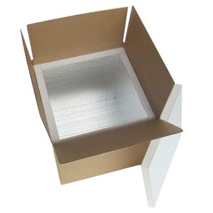 "BrrBox Cooler, 10"" x 10"" x 10"""